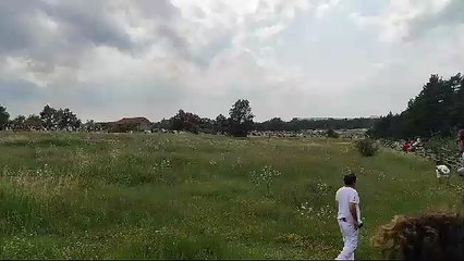 Los novillos sigue su ruta hacia Soria (2)