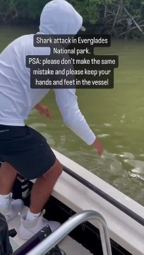 Ce pêcheur plonge la main dans l'eau et va vite le regretter