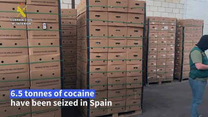 6.5 tonnes of cocaine seized in banana containers entering Spain