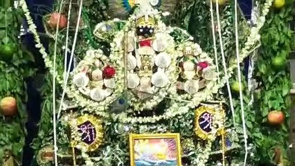 चातुर्मास आज से, भगवान विष्णुदेवोत्थानी एकादशी तक निद्रा में रहेंगे