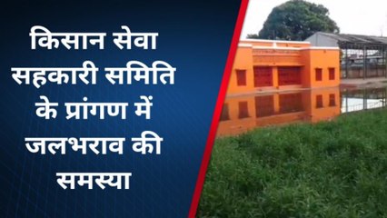 बिजनौर: मानसून की बारिश ने किसान सेवा सहकारी समिति परिसर में किया जलभराव, लोगों हुए परेशान