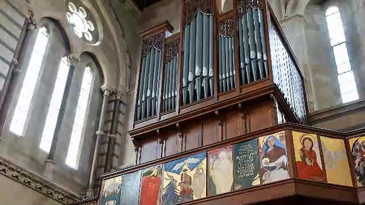 Organista Trecate