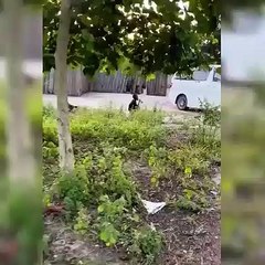 AKP'li yönetici Afrika'da çocuğun üzerindeki LGBT tişörtünü çıkarıp Fenerbahçe tişörtü giydirdi