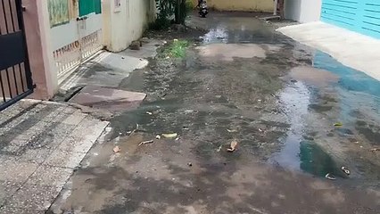 नगर निगम अधिकारियों के साथ पार्षद तक को बता चुके हैं परेशानी, किसी ने झांका तक नहीं