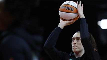 How Have The New-Look New York Liberty Meshed?