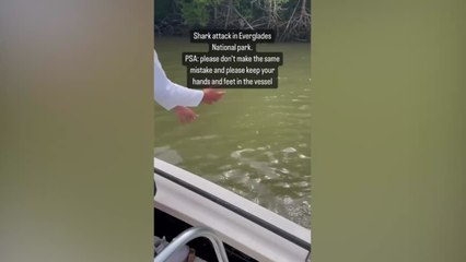 La violenta reacción de un tiburón contra un pescador que mete la mano en el agua