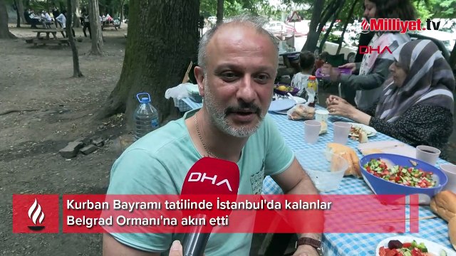 İstanbul'da kalanlar piknik alanlarına akın etti
