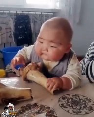 Kurban bayramına karşı çıkan laikçiler!