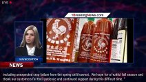 Sriracha sauce shortage causes prices to spike upward of $70 a bottle - 1breakingnews.com