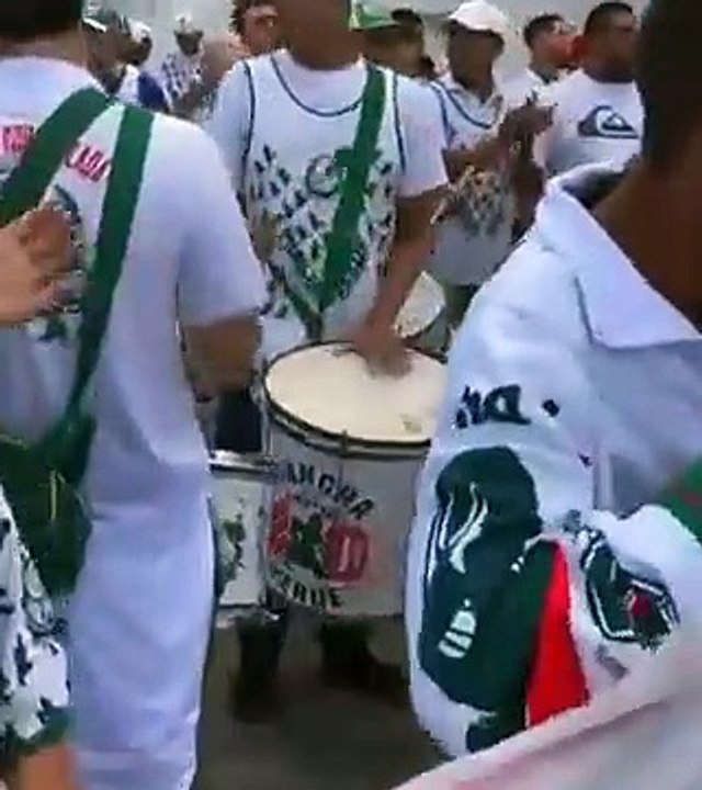Palmeiras