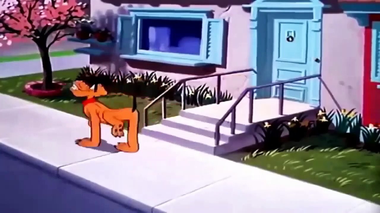 ᴴᴰ Donald Duck & Chip and Dale Cartoons - Disney Pluto,Nephews, Mickey Mouse Clubhouse Full Episodes