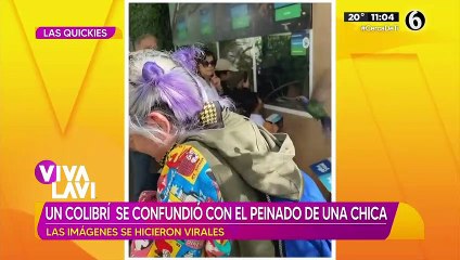 Colibrí cofunde el cabello de una chica con su nido