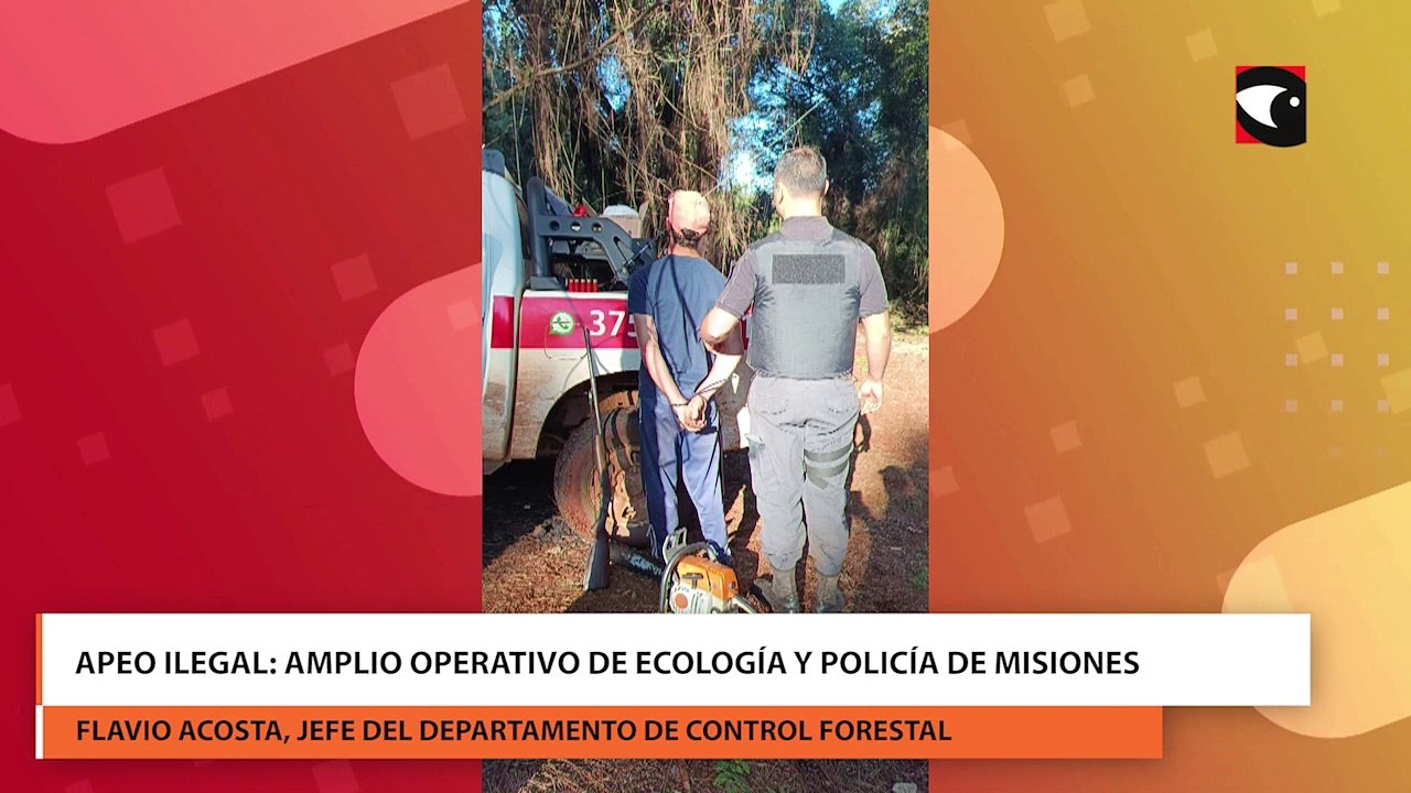 Apeo ilegal: amplio operativo de ecología y policía de Misiones