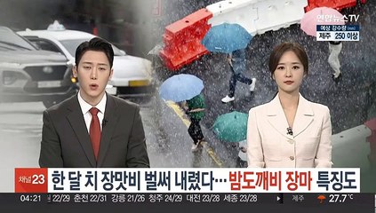 한 달 치 장맛비 벌써 내렸다…밤도깨비 장마 특징도