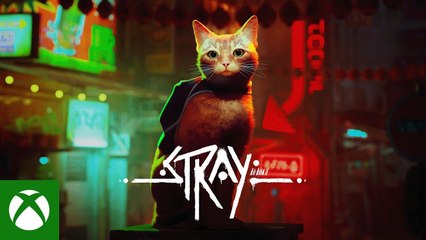 Tráiler y fecha de Stray en Xbox