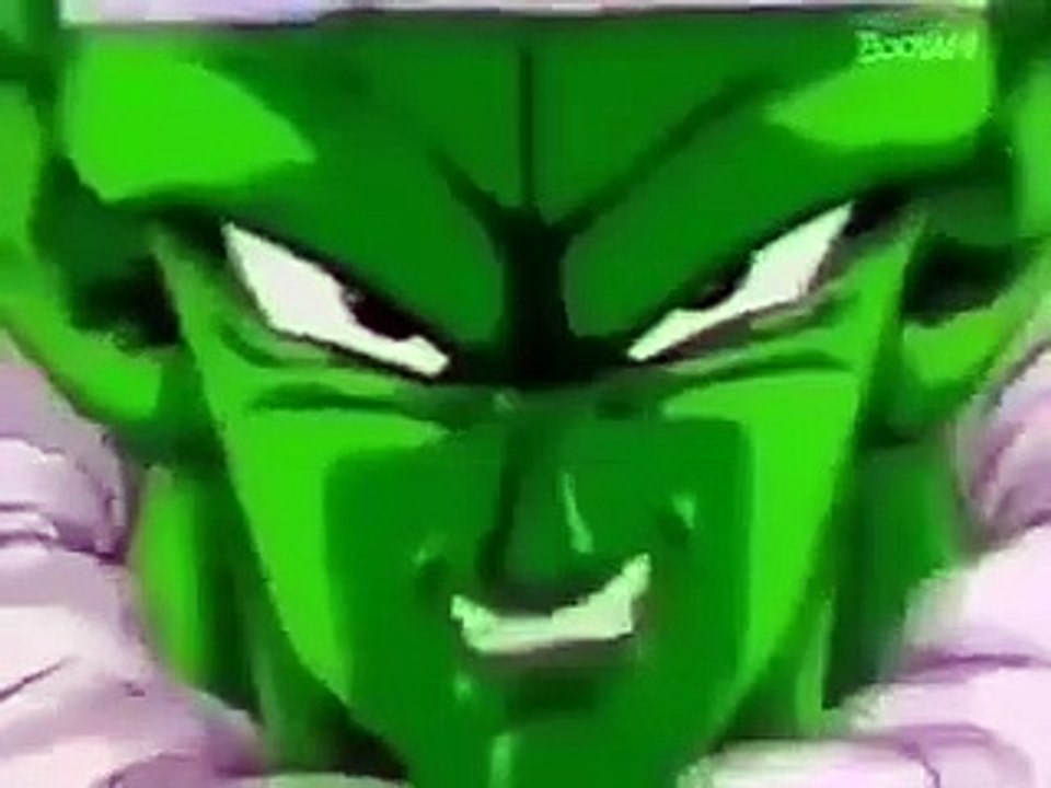 piccolo basado