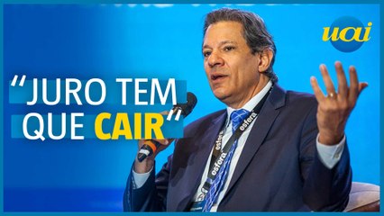 'Ninguém aguenta mais esse juro', diz Haddad em live