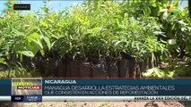 Gobierno de Nicaragua impulsa estrategias de desarrollo ambiental
