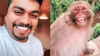 Funny Troll Prank Dog, Fake Lion and Tiger Prank on Dog, and Huge Box Prank on Dog