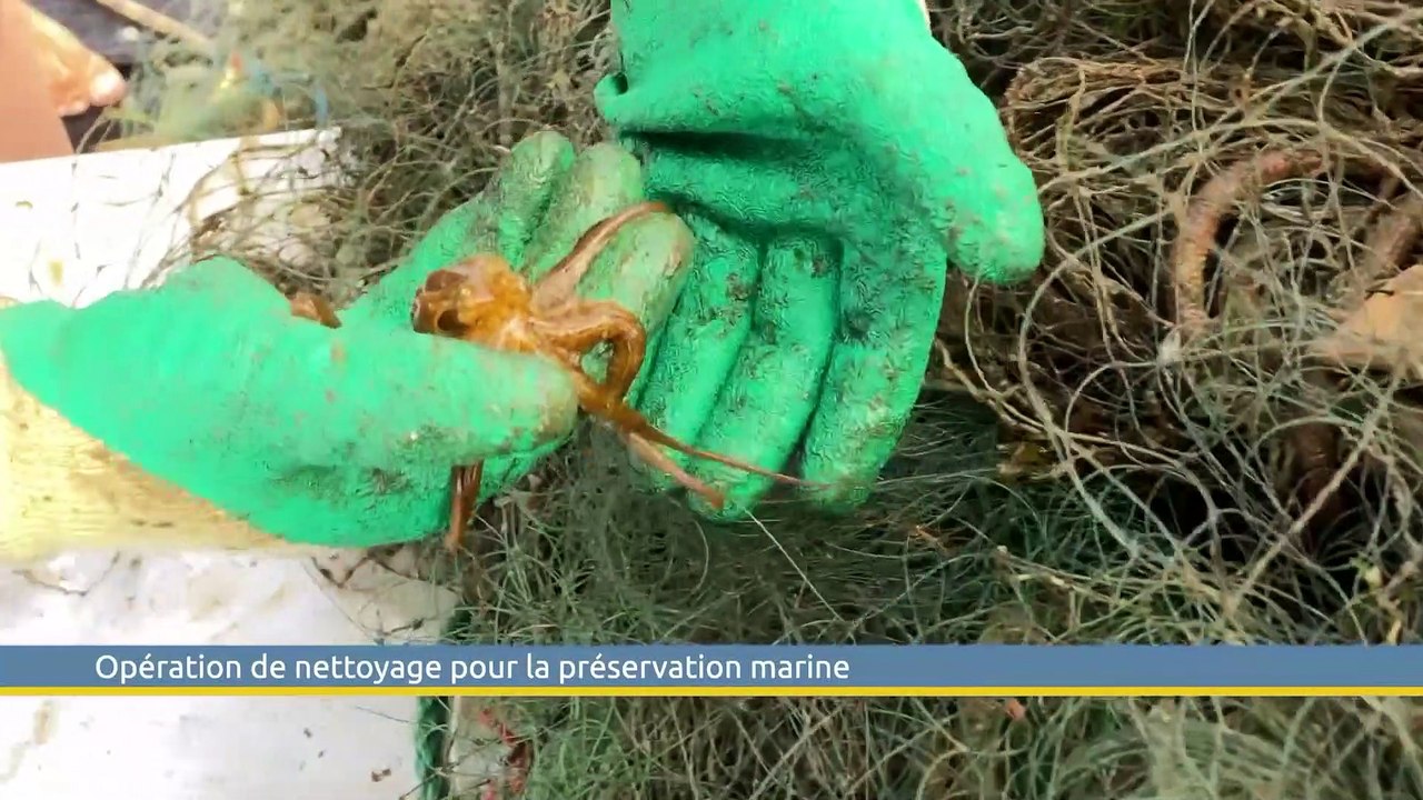 Le Grand J.T. des Territoires du 1er juillet 2023