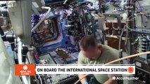 What is life like on board the International Space Station and in space?