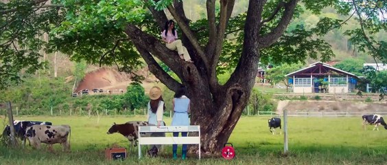 เดอะ ชีส ซิสเตอร์ The Cheese Sisters   - 1of2