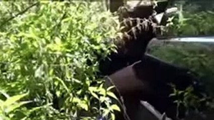 Top 22 model girl bad luck cranking and stuck awesome videos compilation