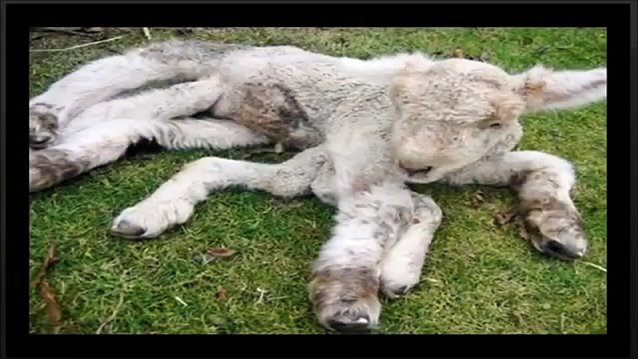 Top 10 Disturbing and Unexplained Photographs -- strange mysteries of the earth