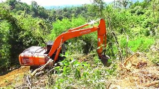 Hitachi 210 MF Excavator Clears Palm Land in Mountain Plantation