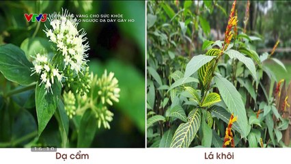 Giọt Nước Mắt Muộn Màng Tập 4