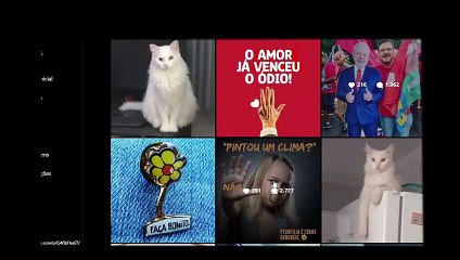 A militância por Lula do Pedófilo preso em flagrante por sequestrar e estuprar garota de 12 anos.