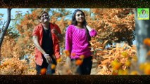 Tor Diwani __ Singer-Champa Nishad __ तोर दिवानी __ चम्पा निषाद __ Cg Lyrics Video Studio Version