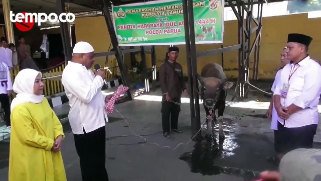 KKB Ancam Segera Tembak Mati Pilot Susi Air, Ini Respon Kapolda Papua