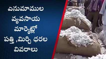 వరంగల్: ఎర్ర బంగారానికి పెరుగుతున్న ధరలు