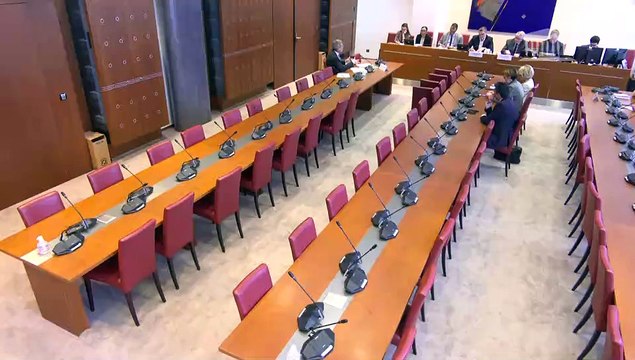 Organisation des groupuscules violents en manifestations : Me Thibault de Montbrial, pdt du centre de réflexion sur la sécurité intérieure - Jeudi 29 juin 2023