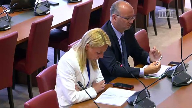 Organisation des groupuscules violents en manifestations : Tables rondes et auditions diverses - Jeudi 29 juin 2023