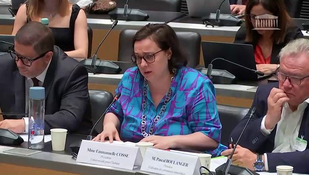 Délégation aux collectivités territoriales : Diverses auditions et tables rondes - Jeudi 29 juin 2023