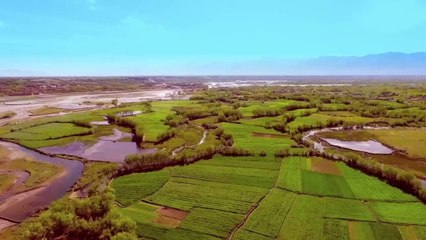 Nangarhar Golona _ Pashto New Song 2023 _ Latif Nangarhari _ Official Music Video