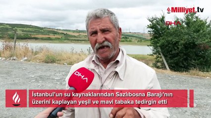 Sazlıbosna Barajı'nda tedirgin eden görüntü