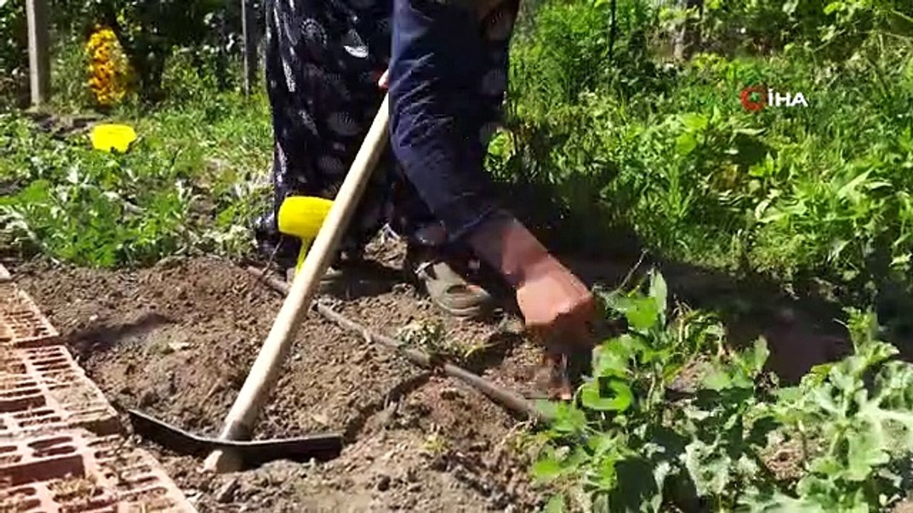 Le projet de semences ancestrales de la municipalité d'Edremit se développe