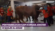 Tim Juleha Sembelih Sapi Kurban Jokowi di Masjid Al Akbar Surabaya