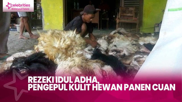 Rezeki Idul Adha, Pengepul Kulit Hewan Panen Cuan
