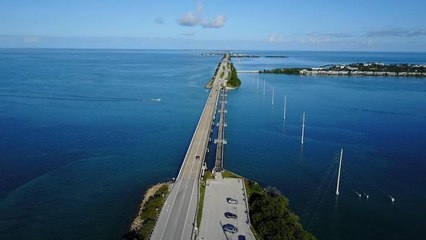Routes sous haute tension - Floride : dangers sous les palmiers