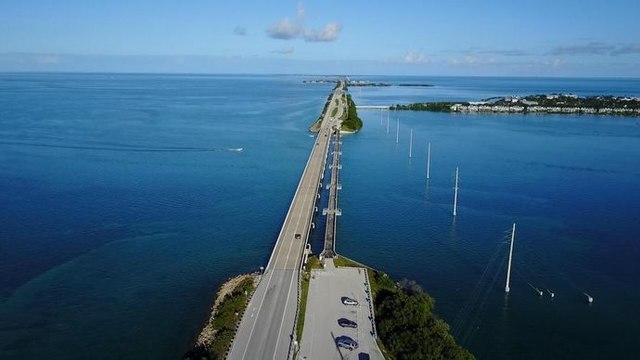 Routes sous haute tension - Floride : dangers sous les palmiers