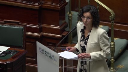 Délégation Iranienne à Bruxelles : l'intimidation de l'opposition ne restera "pas sans suite diplomatique" (Lahbib)
