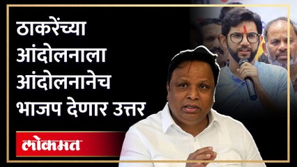 ठाकरे गटाच्या मोर्चाला उत्तर देण्यासाठी भाजपही करणार आंदोलन, शेलारांनी दिली सविस्तर माहिती