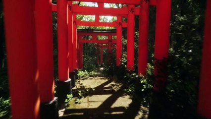 LUSHFOIL PHOTOGRAPHY SIM  - Tráiler de presentación