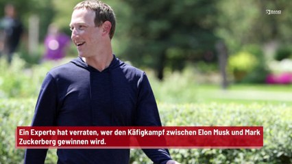 Käfigkampf zwischen Elon Musk und Mark Zuckerberg?