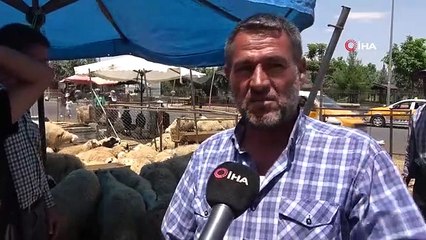 La plupart des sacrifices ont été vendus, les éleveurs étaient contents