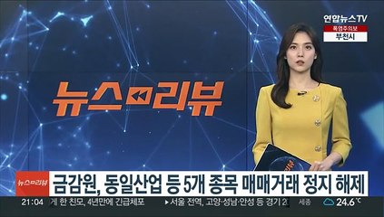 금감원, 동일산업 등 5개 종목 매매거래 정지 해제